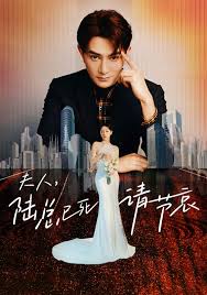 夫人，陆总已死请节哀全集 (上)(大结局)