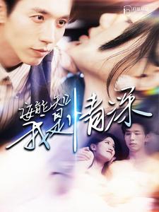 安能知我是情深全集(大结局)