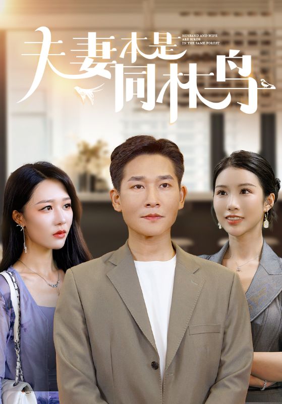 夫妻本是同林鸟全集(大结局)