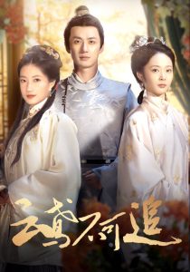 云鸢不可追全集(大结局)