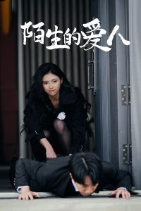 陌生的爱人(全集)